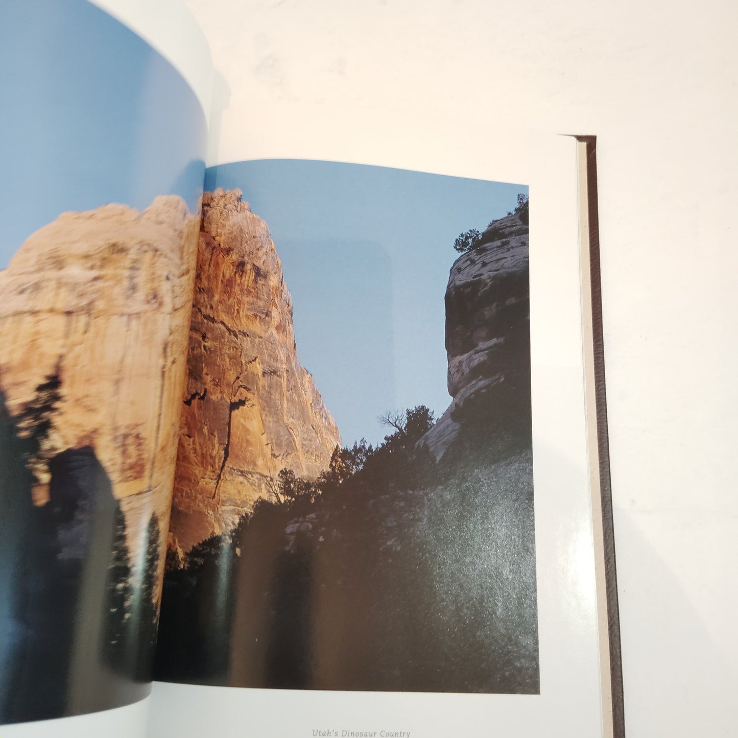 Hiking America's Geology - National Geographic Hardcover by Eugene & Fisher