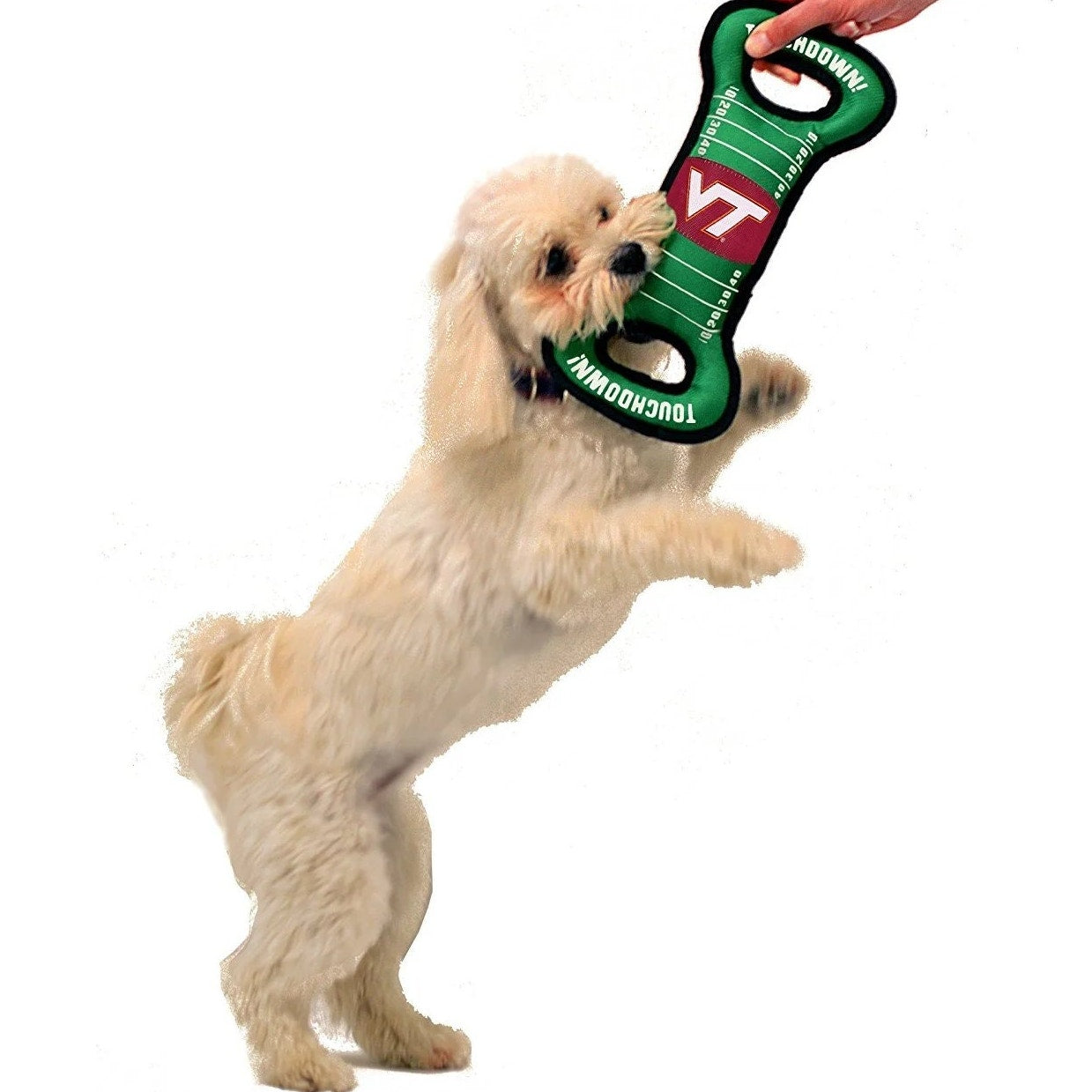 Pets First NCAA Virginia Tech Field Dog Toy – Licensed Canvas Tug & Squeaker