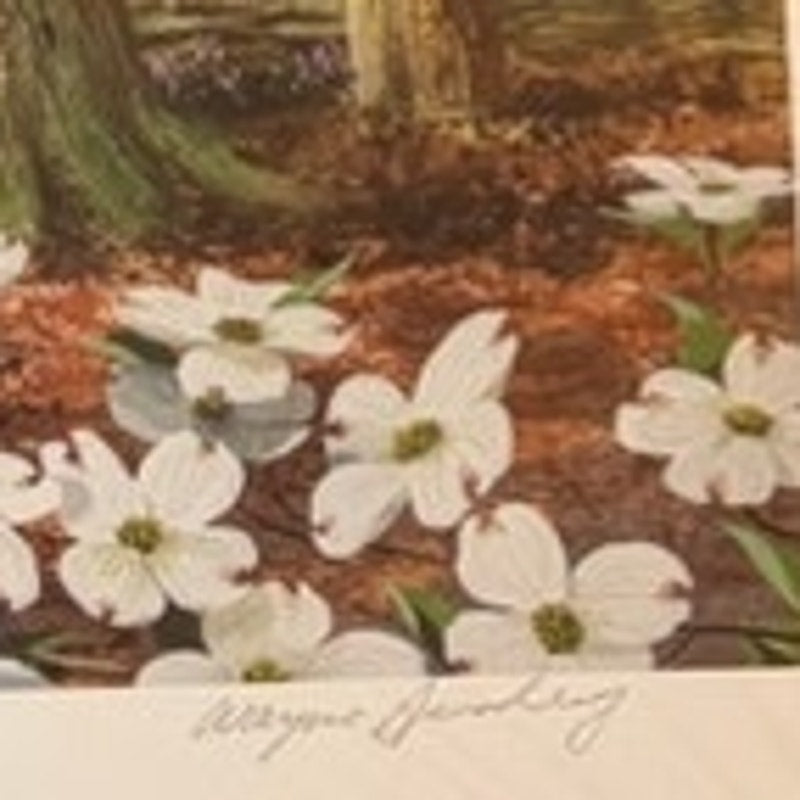 Wayne Spindley Spring Awakening Southern Seasons Signed, 22/250 Art Print 25x20"