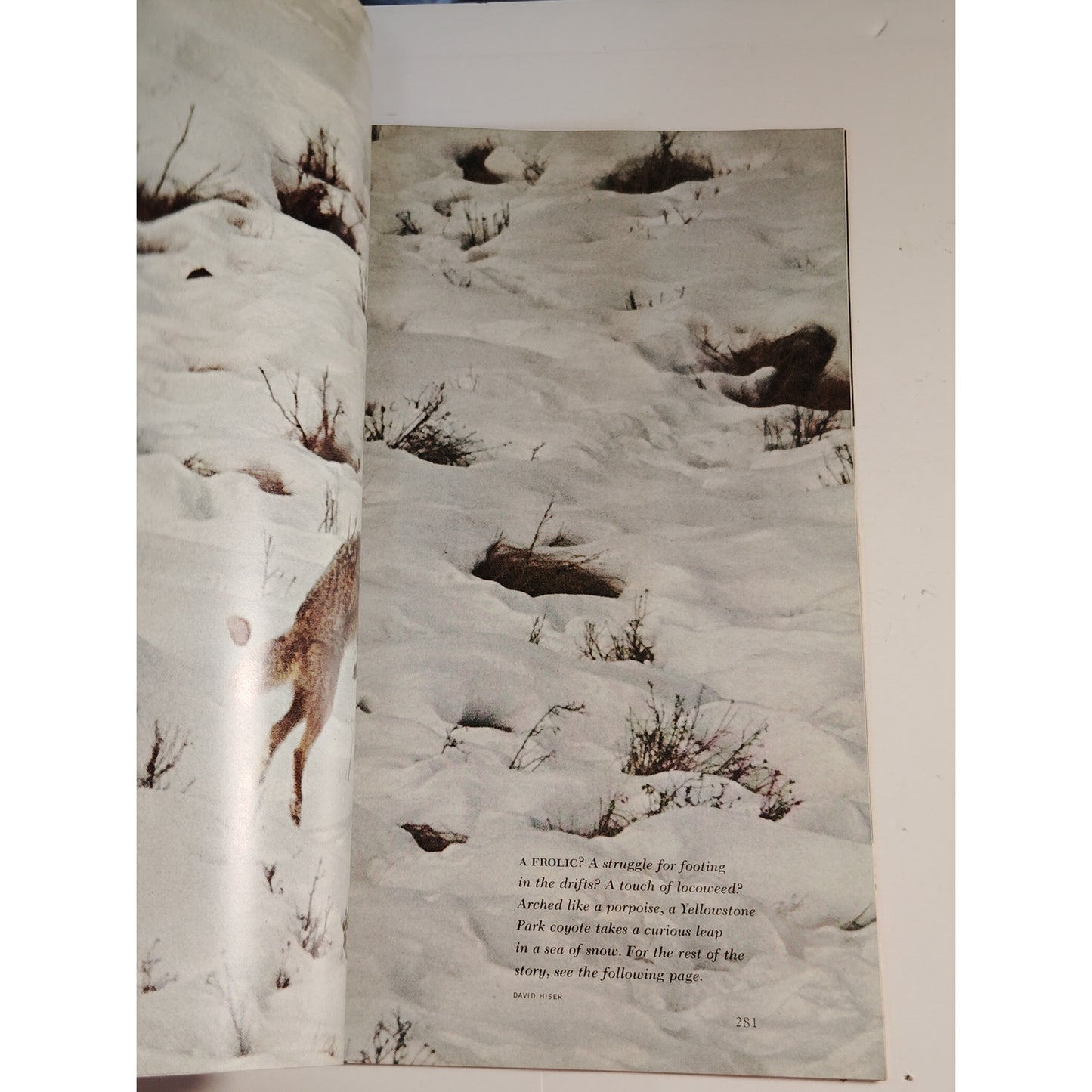 National Geographic Magazine– August 1974, Phoenicians, North Korea, New Zealand