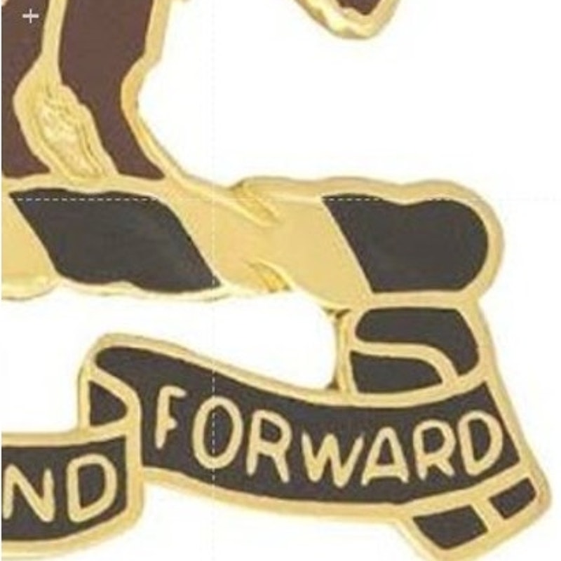 10th Cavalry Regiment Buffalo Soldiers Novelty Hat Lapel Pin 1" × 1"