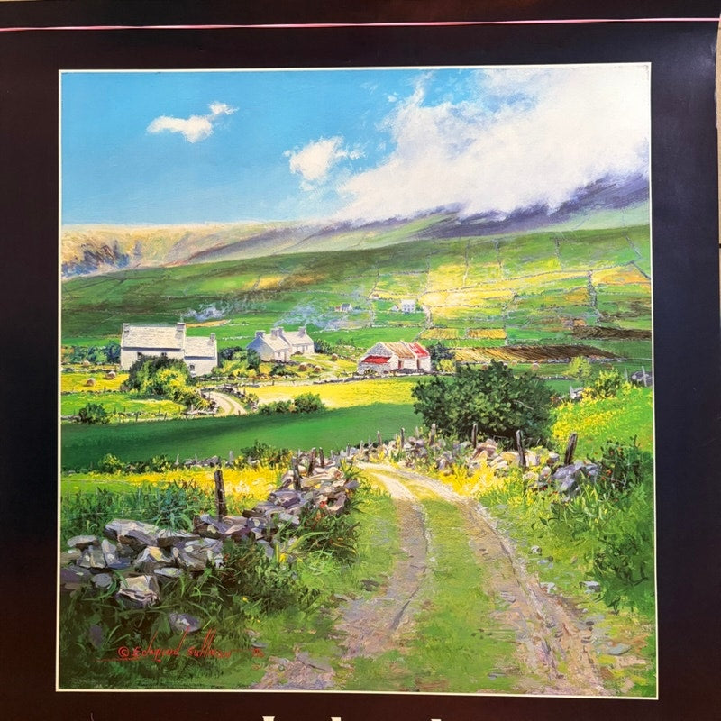 Vintage Delta Air Lines Ireland Travel Poster by Edmund Sullivan, 28x22"