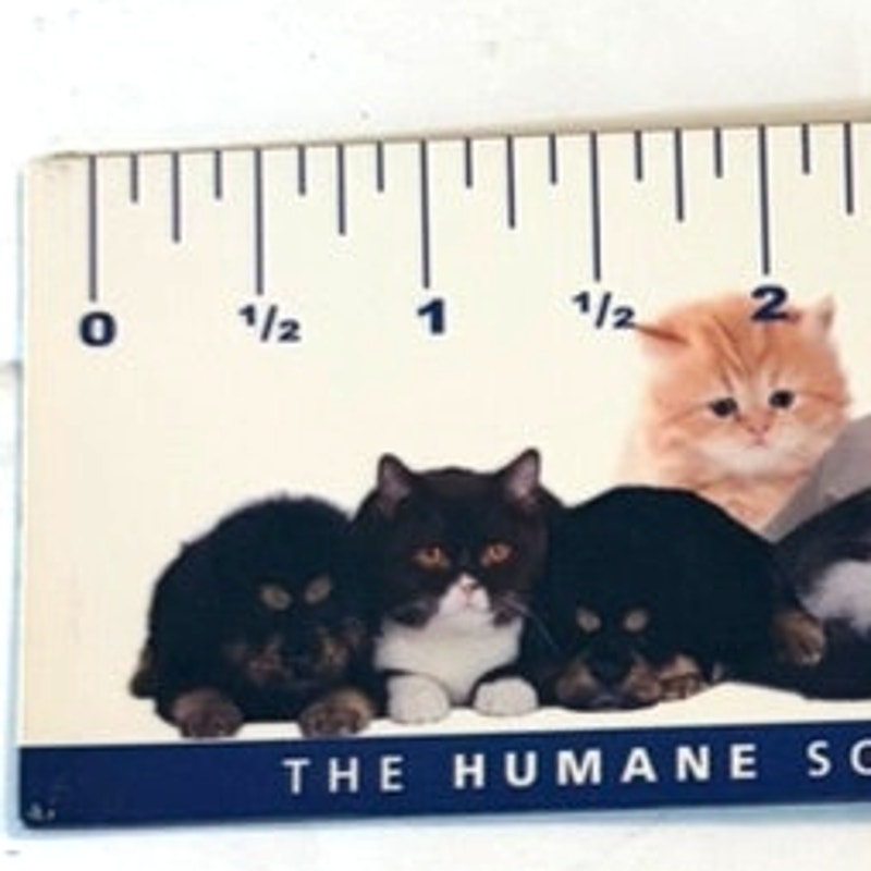 Humane Society Magnetic Ruler Fridge Magnet Puppies Kittens HSUS Promo 6.5x2