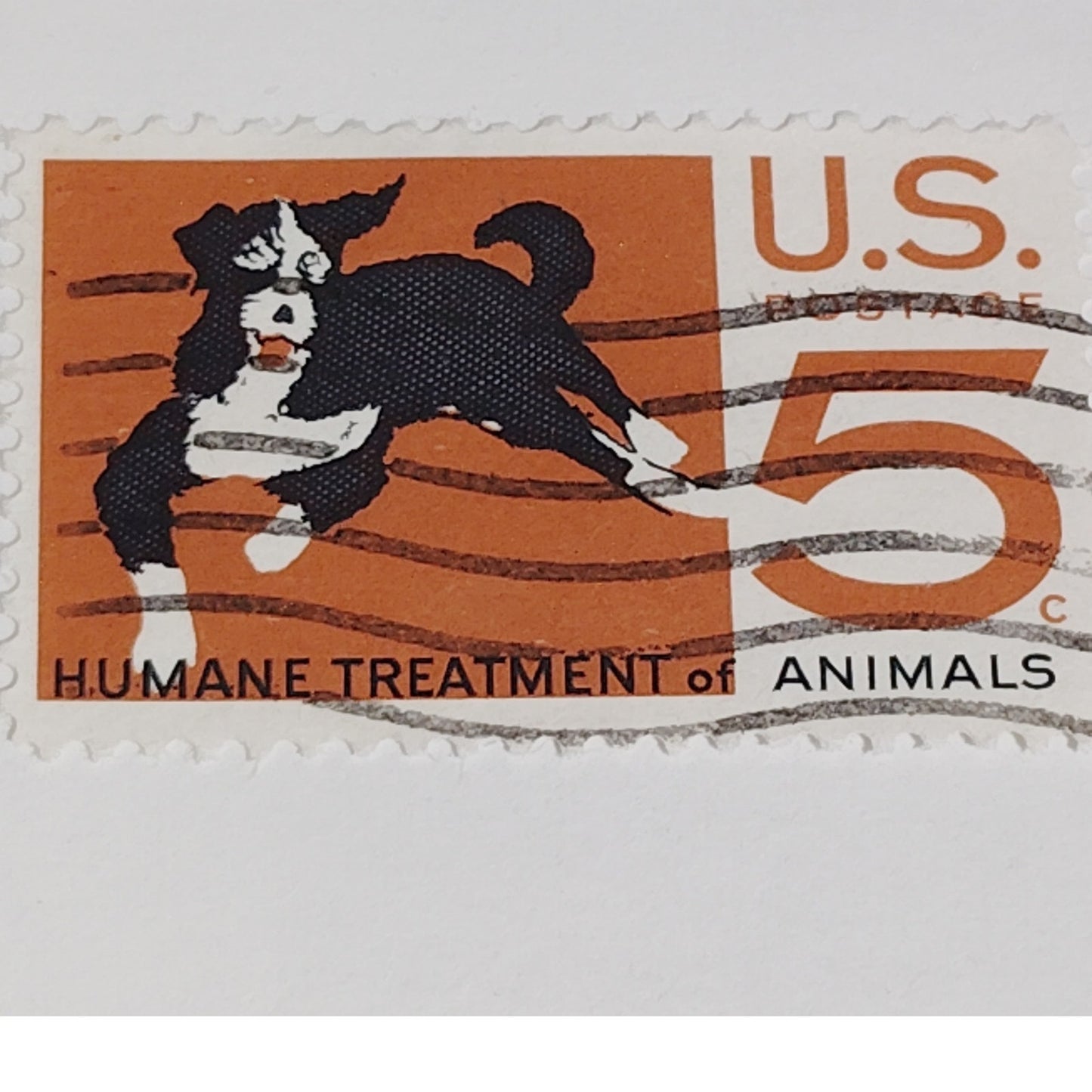 1966 Scott #1307 – 5¢ Humane Treatment of Animals / ASPCA Centennial