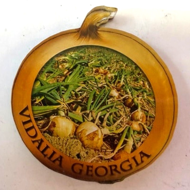 Vintage Vidalia Georgia Onion Souvenir Fridge Magnet Acrylic Die Cut Shape 2.25"