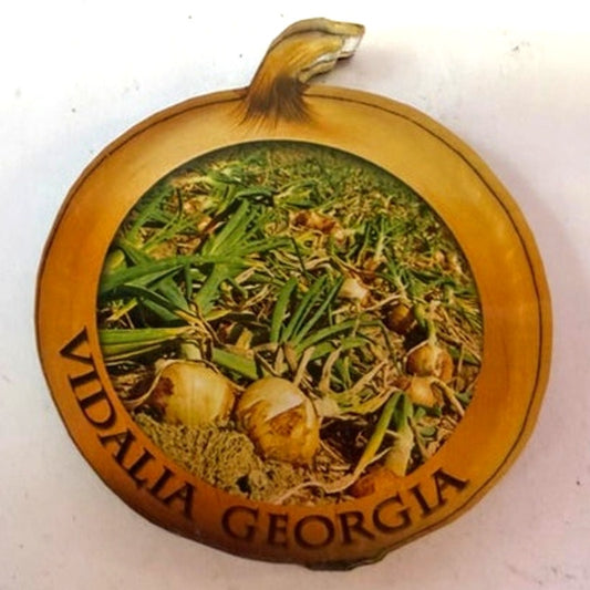 Vintage Vidalia Georgia Onion Souvenir Fridge Magnet Acrylic Die Cut Shape 2.25"