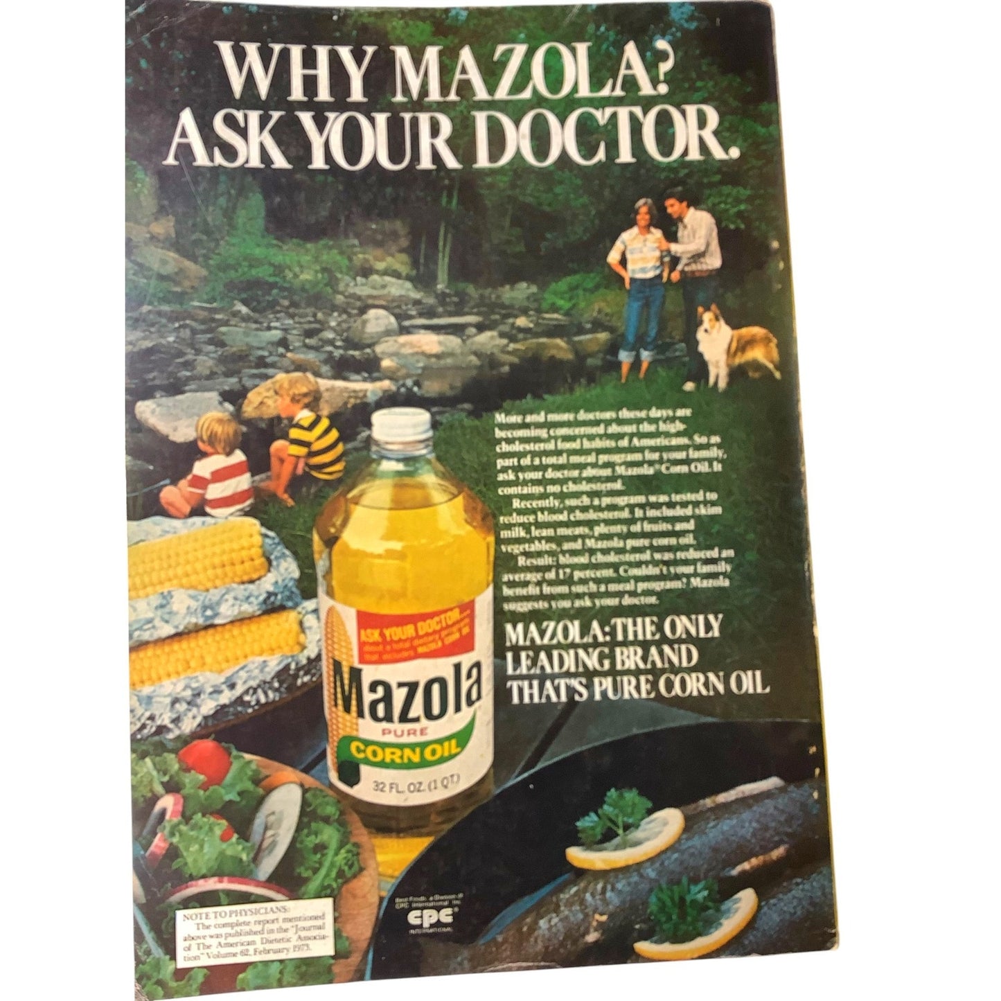 National Geographic Magazine February 1977, Audubon, Harlem, Rajasthan, Ohio...