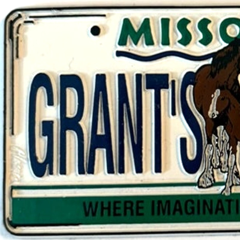 Missouri Grant’s Farm 3D PVC License Plate Magnet Clydesdale Foal 3.75" x 2"