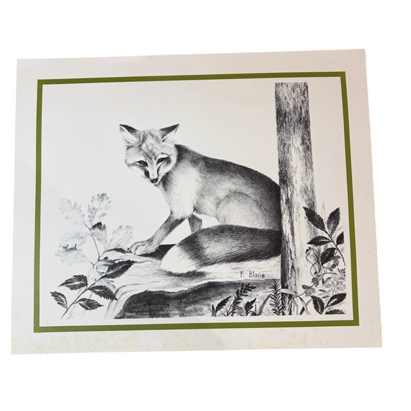 Vintage 1970's F. Blane Fox Print Wildlife Art, Black & White, 16" x 13.5" Print