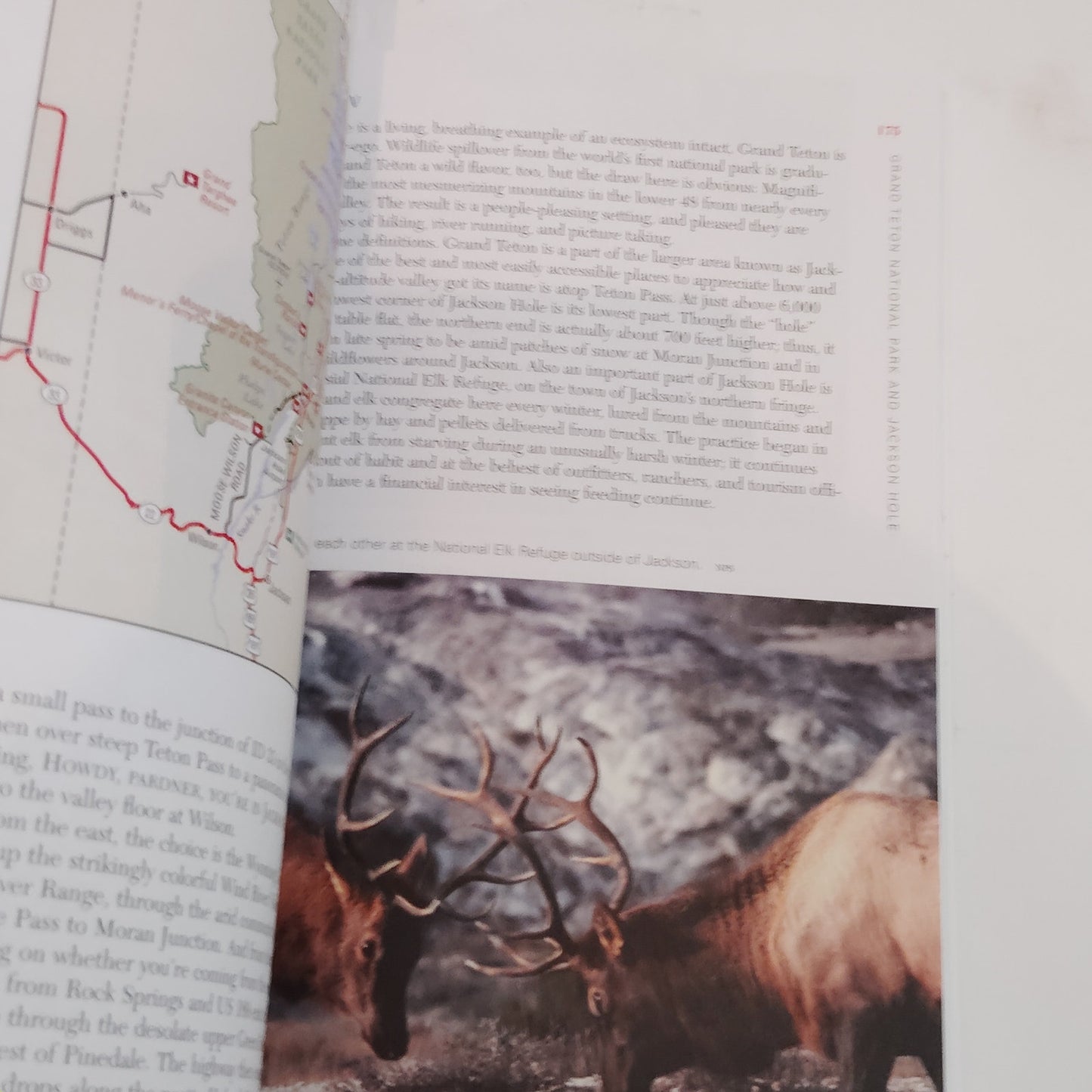 Explorer's Guide Yellowstone & Grand Teton National Parks Jackson Hole 2nd Ed