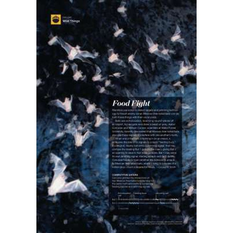 National Geographic May 2015, Dolphins, Detroit, Super Bee, Mekong, France/Spain