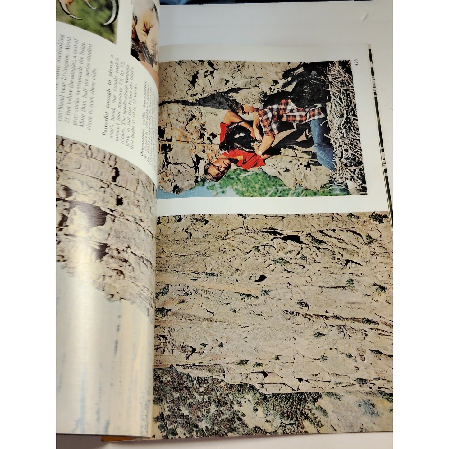 National Geographic September 1967 | Houston, Golden Eagles & Russell Cave