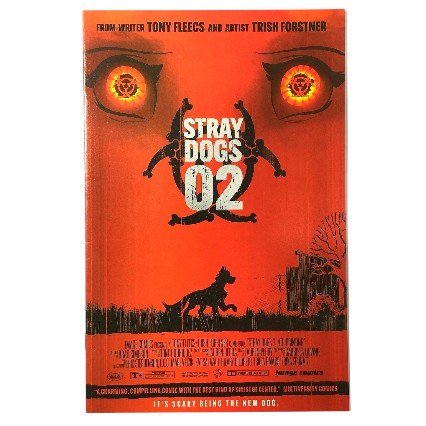 Stray Dogs #2 (2E Cover), 2021, NM 9.4, Image Comics, 4th and Final Printing