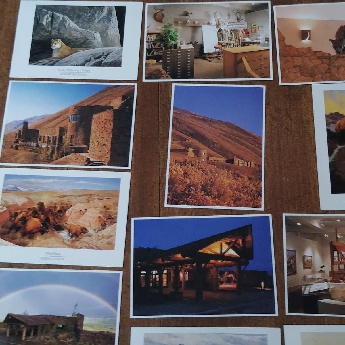 National Museum of Wildlife Art Postcard Set - Wildlife Paintings & Sculptures