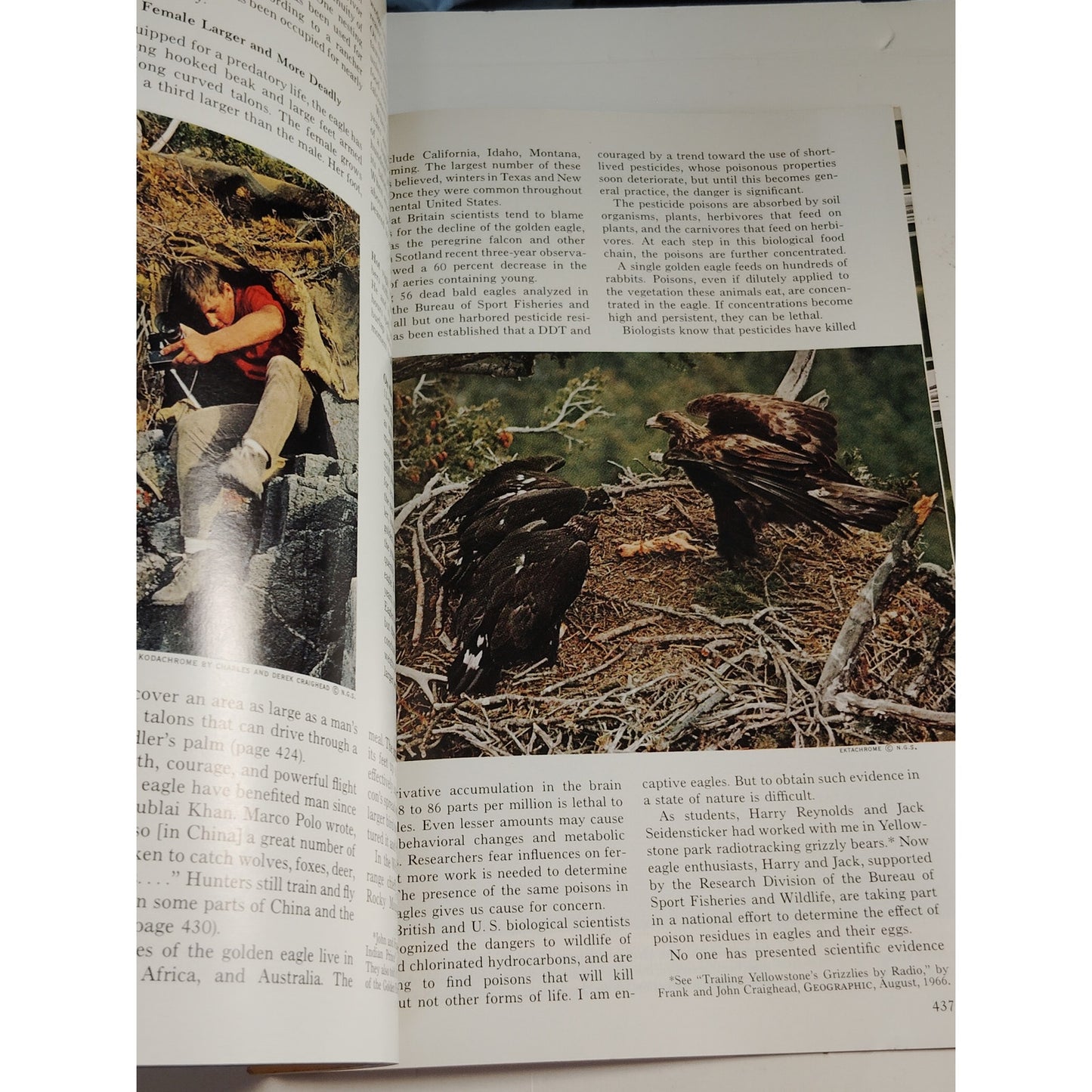 National Geographic September 1967 | Houston, Golden Eagles & Russell Cave