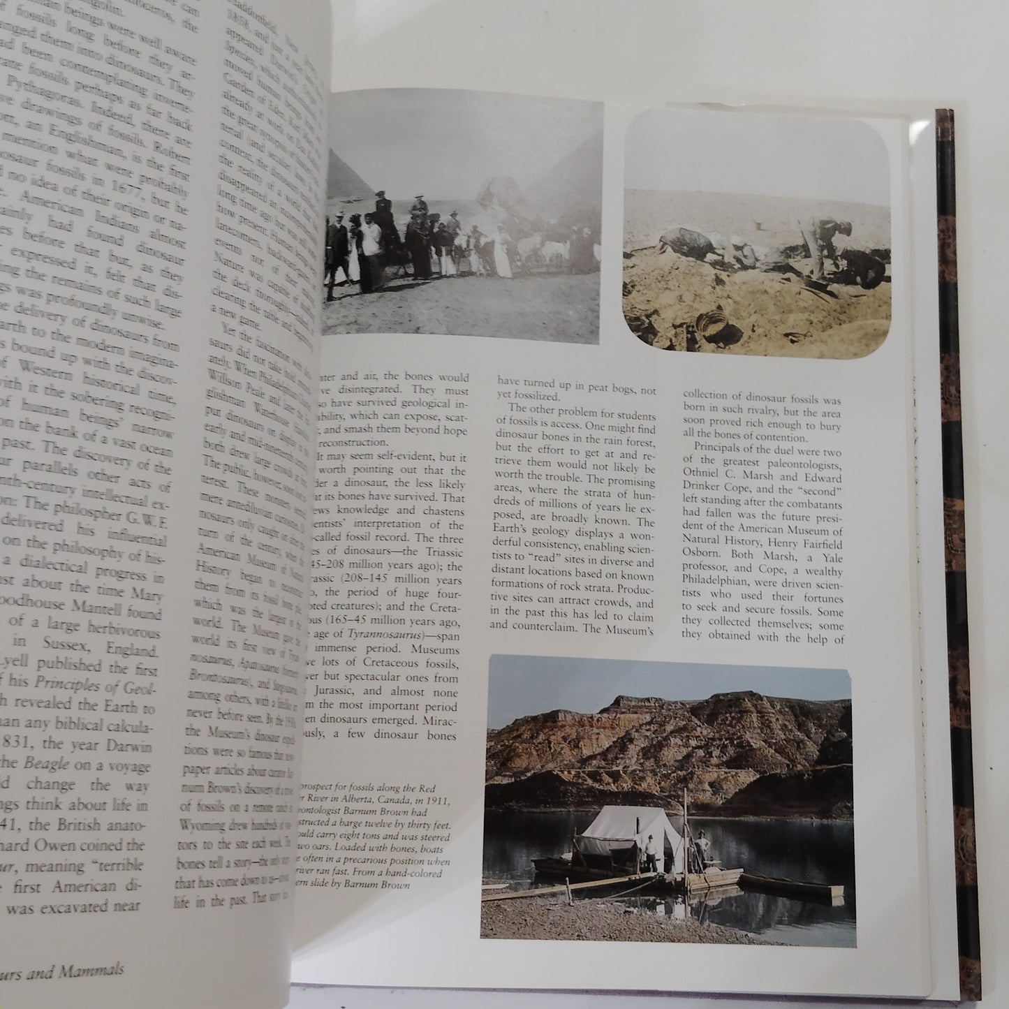 American Museum of Natural History 125 Years Expedition Discovery 1995 Hardcover