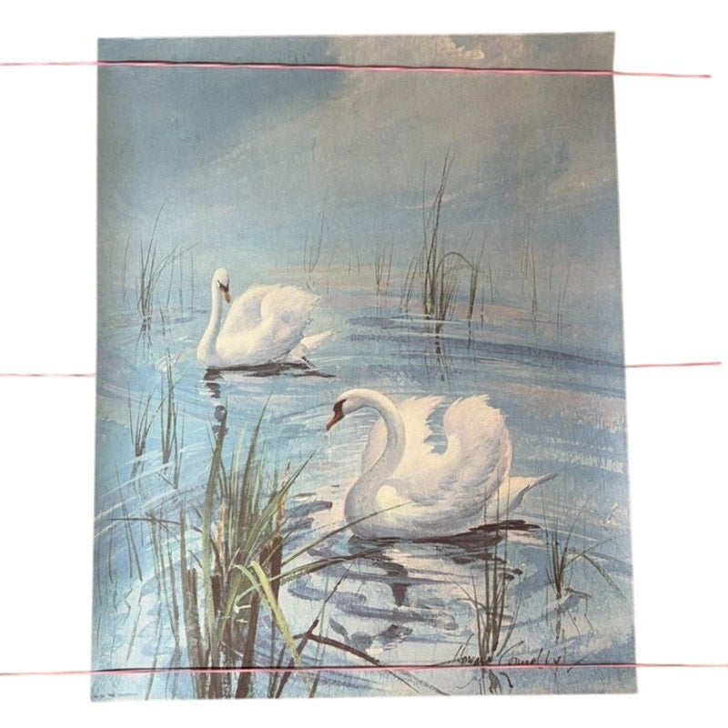 Vintage Howard Connelly "Swine" Poster Print - White Swans Pond Art 20x16"