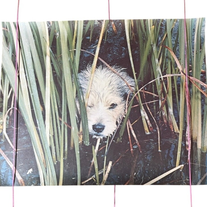 Vintage 70s Dog in Water Reeds Art Poster 20" x 16" - Green & Brown Print