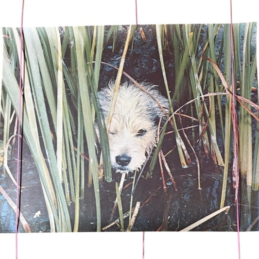 Vintage 70s Dog in Water Reeds Art Poster 20" x 16" - Green & Brown Print
