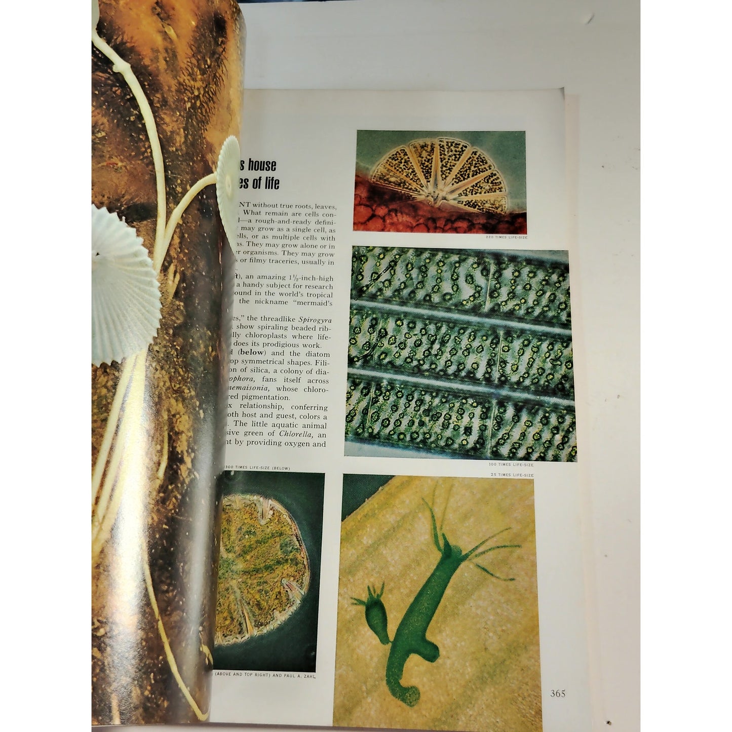 National Geographic Magazine – March 1974, Bavaria, Nebraska, Arctic Trek