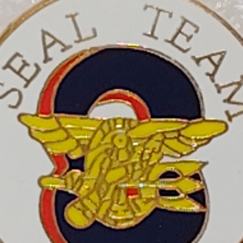 U.S. Navy SEAL Team Eight Emblem Novelty Hat/Lapel/Brooch Pin, Enamel Metal