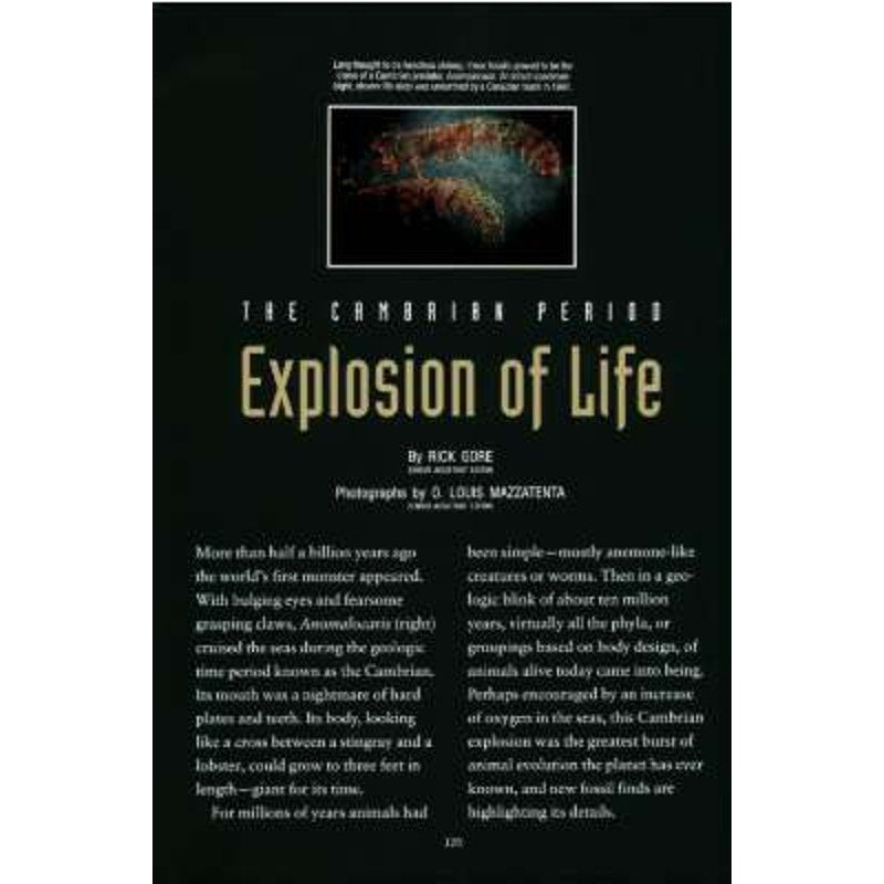 National Geographic October 1993 -Labrador Canada, American Prairie, The Cambrian Period, Afghanistan's Uneasy Peace, Tower of London...