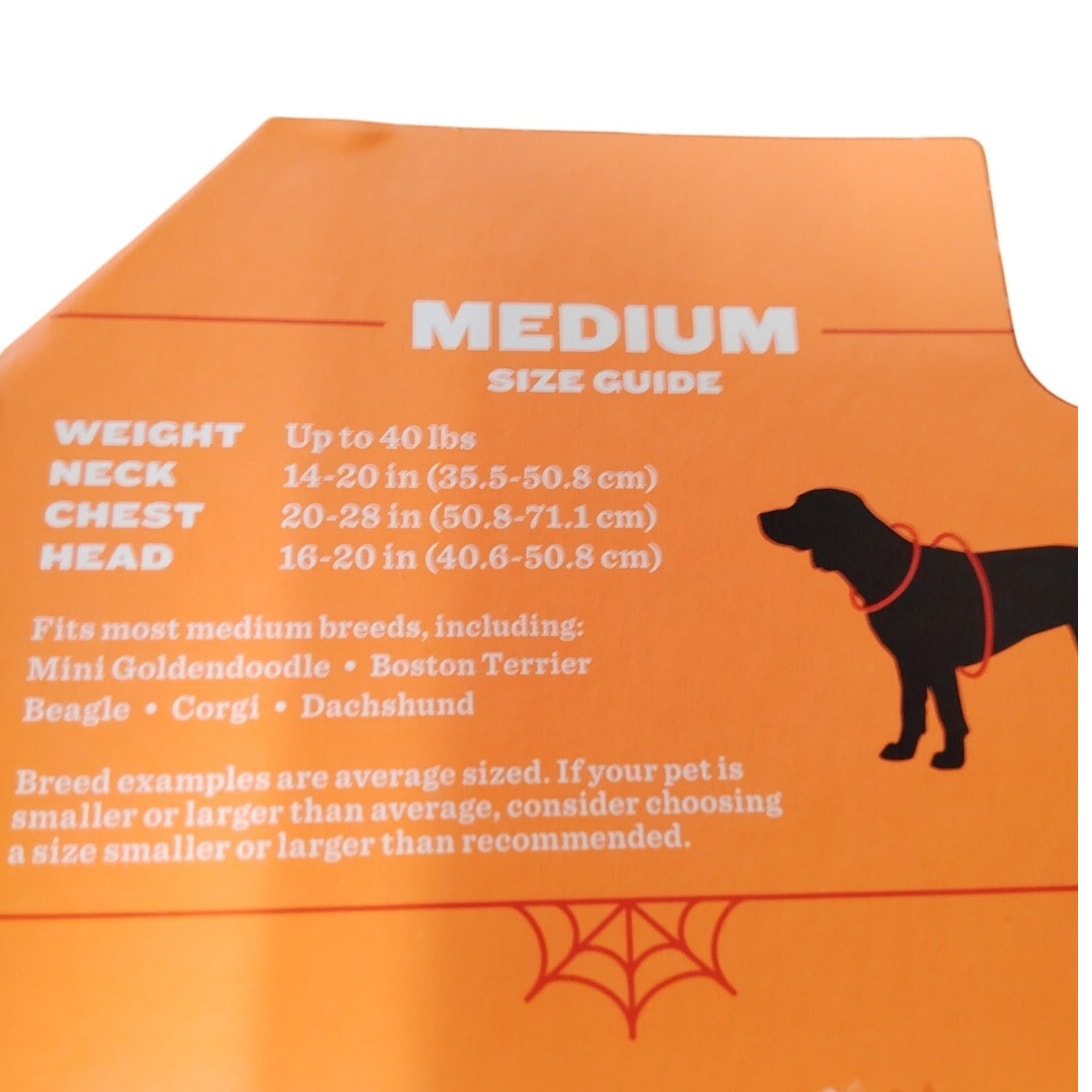 Hyde & EEK! Boutique Halloween Candy Corn Boo Dog Sweater – Medium