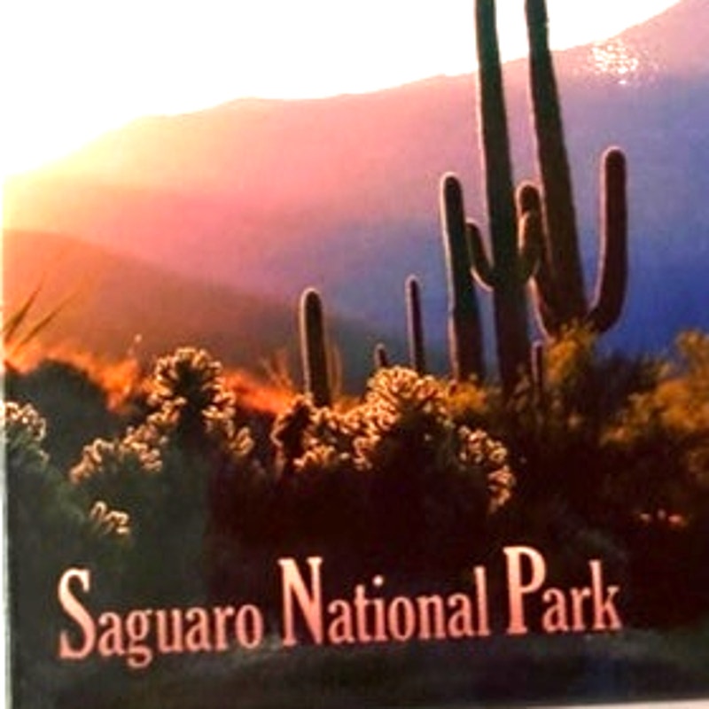 Saguaro National Park Magnet Acrylic Photo Desert Sunset 2‑3/8" × 1‑7/8"