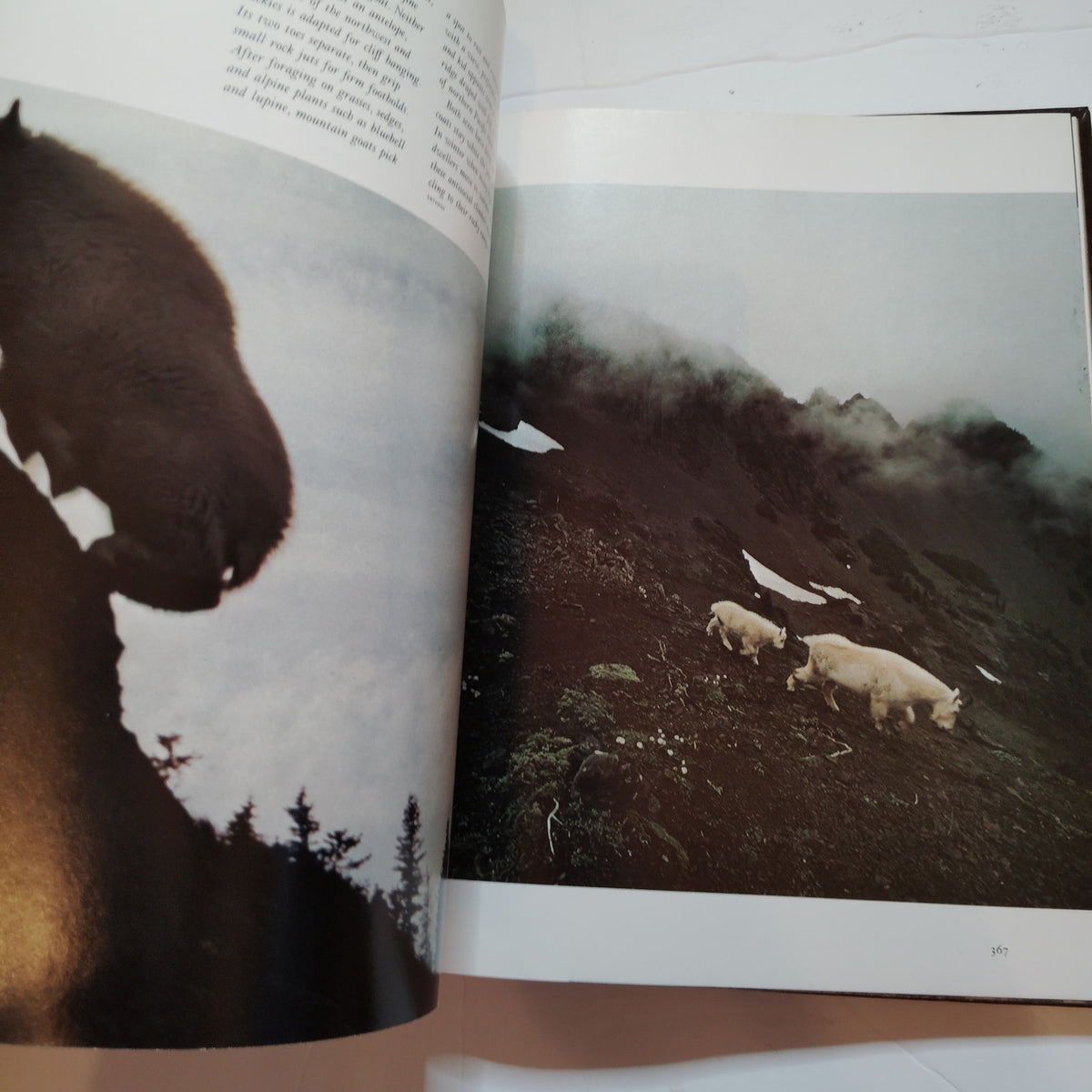 Our Continent Natural History of North America 1976 Hardcover - LN - One Owner