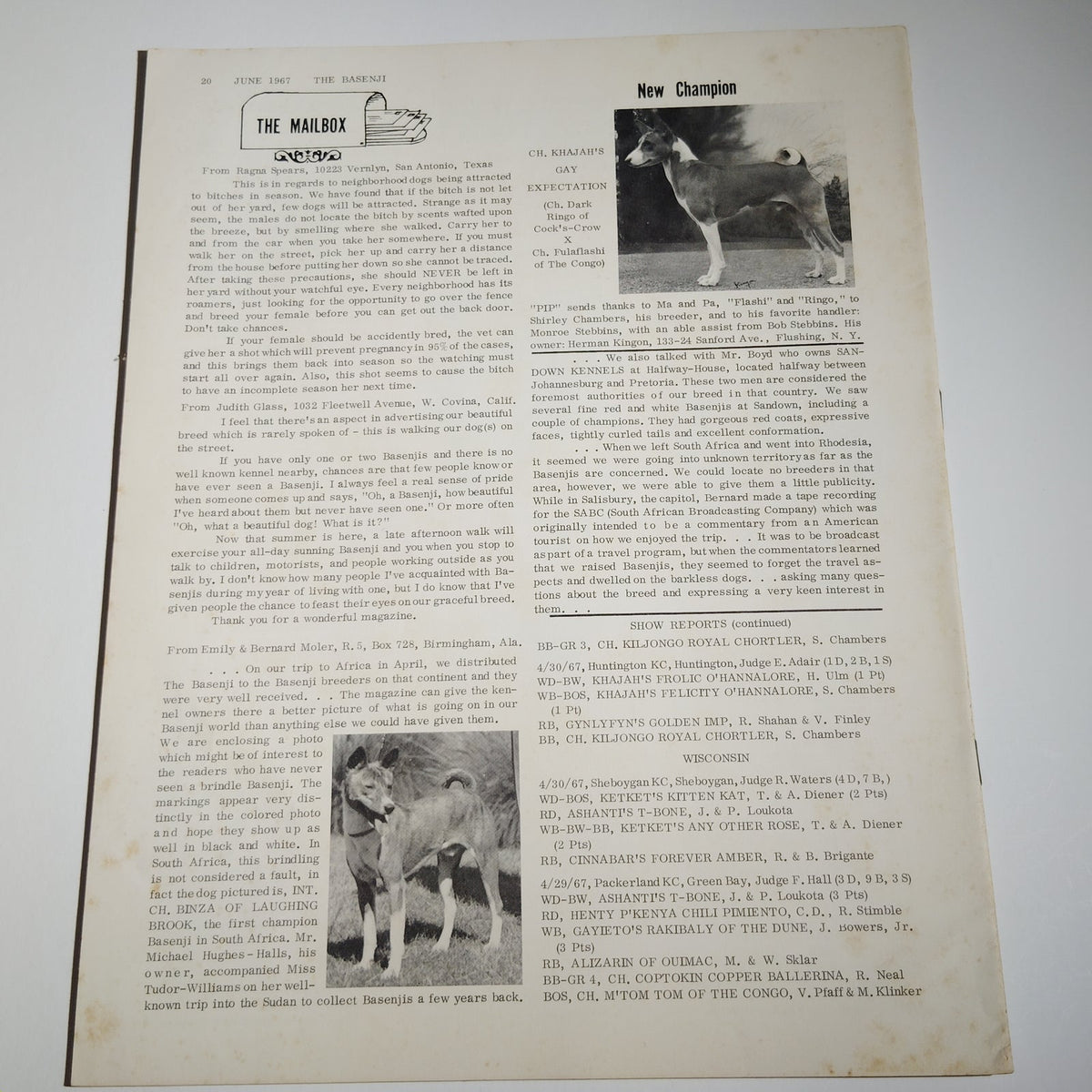 The Basenji Magazine June 1967 Vol. IV No. 6 - Basenji Club of America