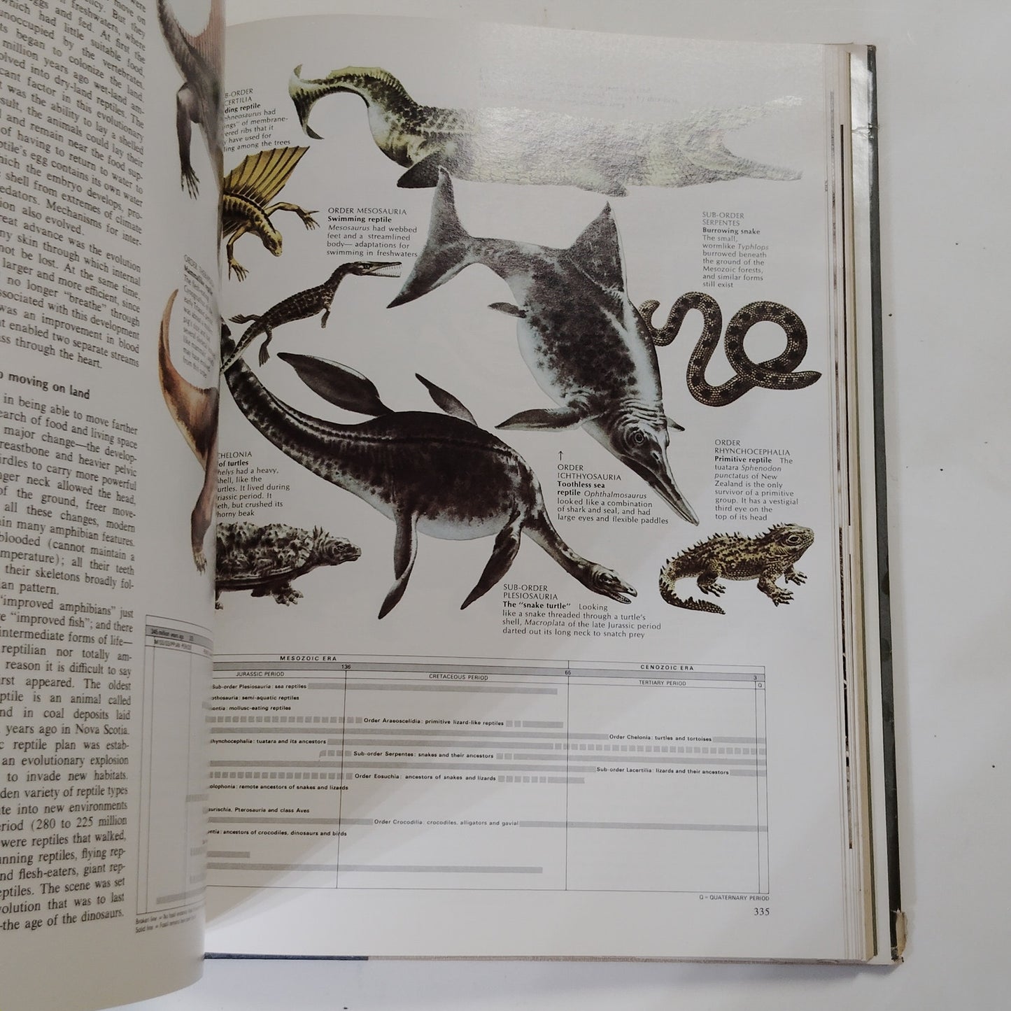 Reader’s Digest Fascinating World of Animals 1971 Hardcover 12.5" x 9.5" x 2"