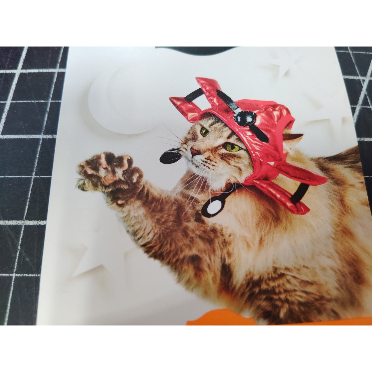 Halloween Biplane Cat Hat, Red – One Size – Hyde & EEK! Boutique