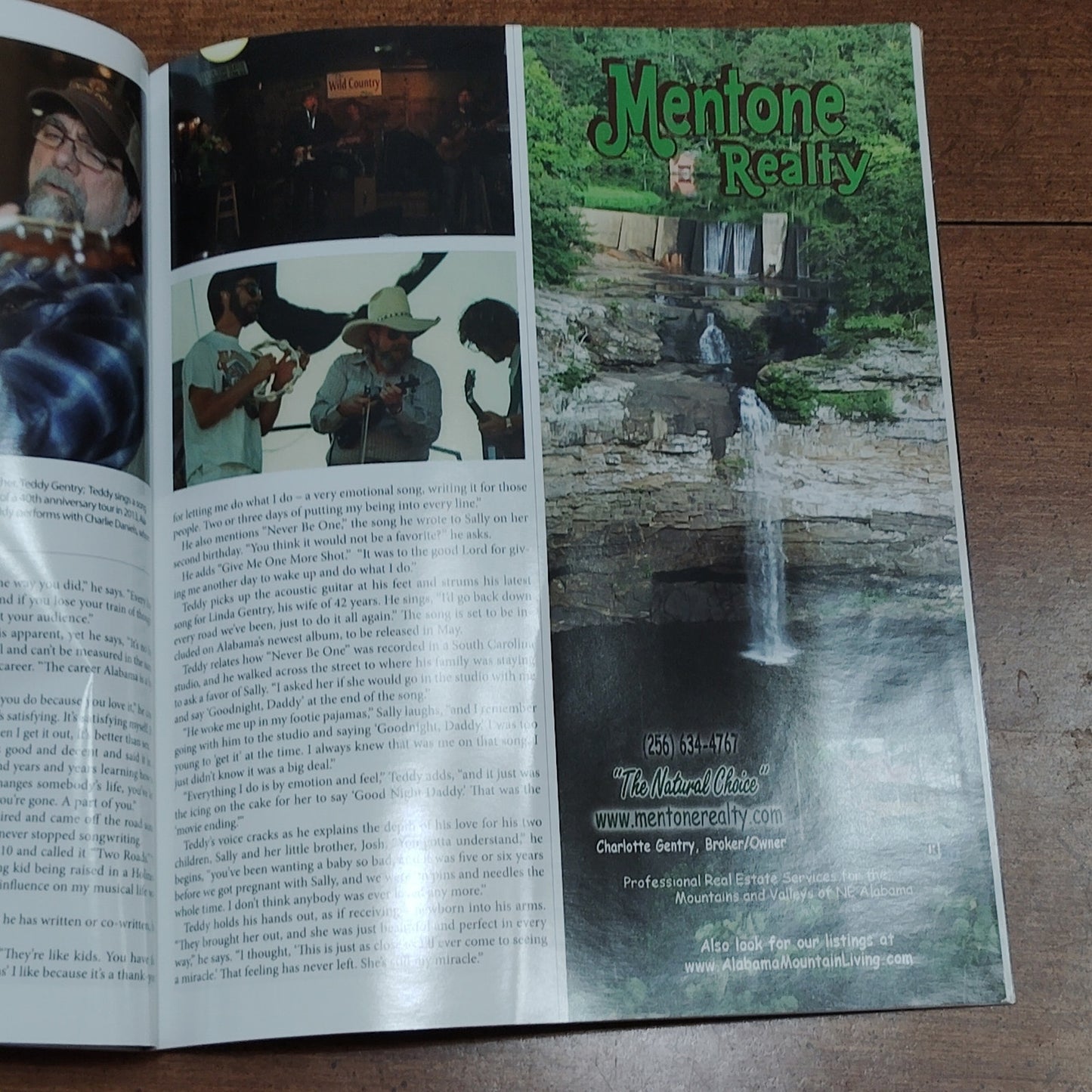 Lookout Alabama Magazine Spring 2015 - Noccalula Falls Park Scenic Cover