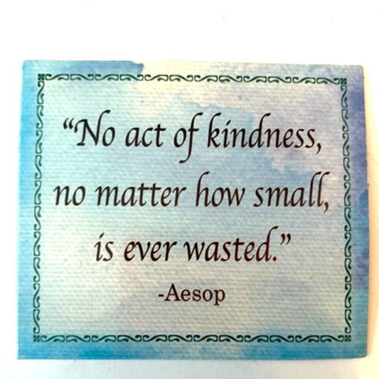 Inspirational Fridge Magnet Aesop Kindness Quote Canvas Teal Border 3.5x3