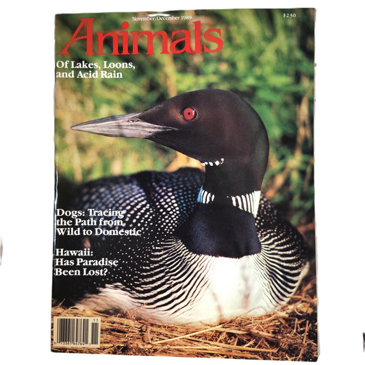 Animals Magazine Nov/Dec 1989 MSPCA, Vintage Loon, Hawaiian Birds, Mussels, Rats