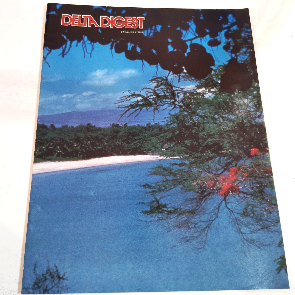 Delta Digest Magazine - February 1985 - Vintage Airline Collectible