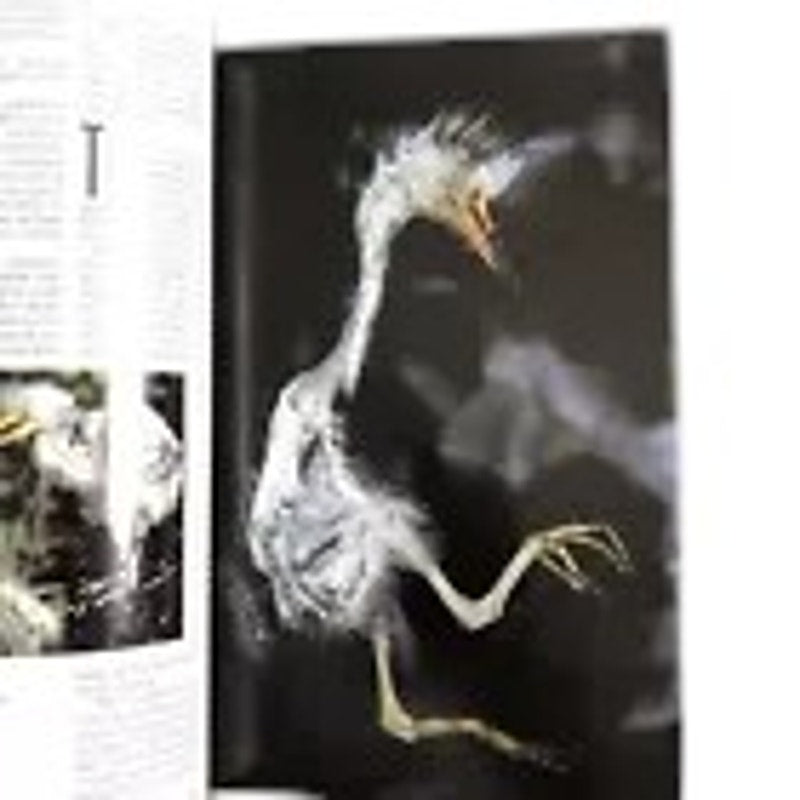 National Geographic Magazine April 1994 Vol.185, No.4, Kamchatka, Lusitania ...