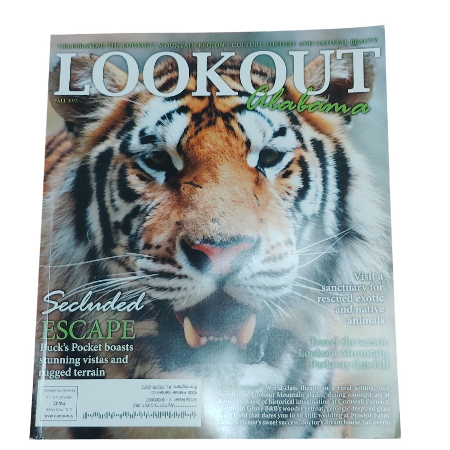 Lookout Alabama Magazine Fall 2015 "Secuded Escape" - Striking Tiger Cover