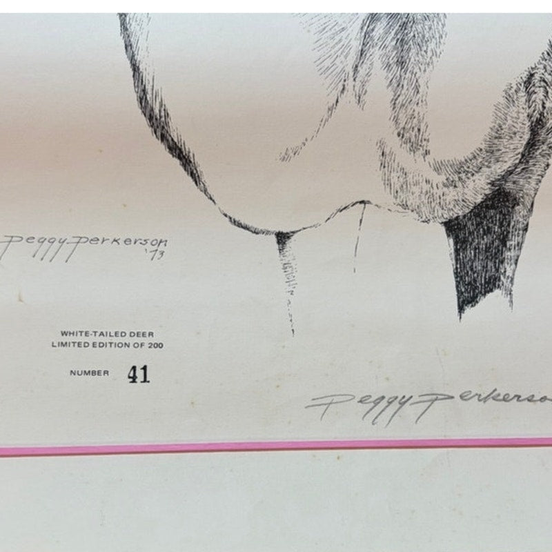 Peggy Perkerson White-Tailed Deer Sketch Print - 1973 Limited Edition 41/200