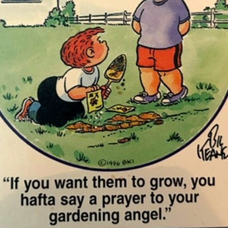 VTG 1996 Family Circus Fridge Magnet Bil Keane Cartoon Gardening Angel 3.5x3.5