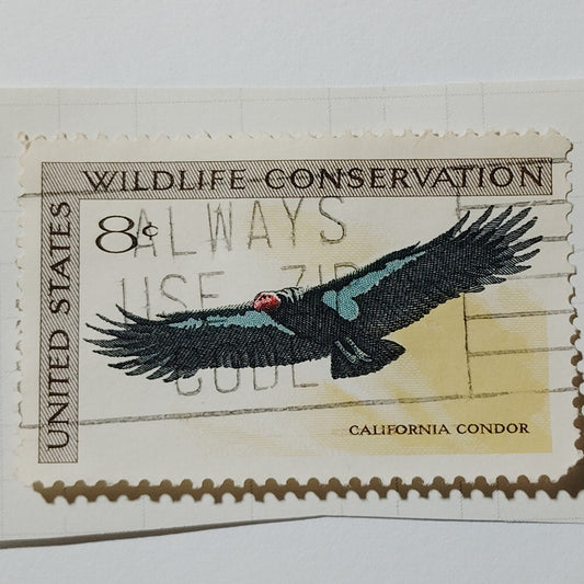 1971 US Postage Stamp #1430 Wildlife Conservation California Condor 8c Used