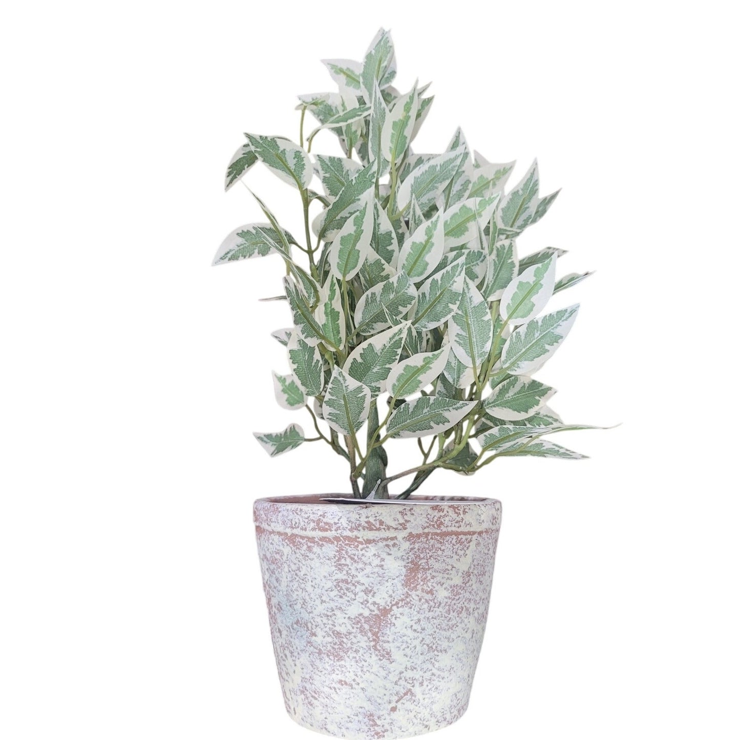 15" Variegated Ficus Artificial Plant - Threshold - Designed with Studio McGee