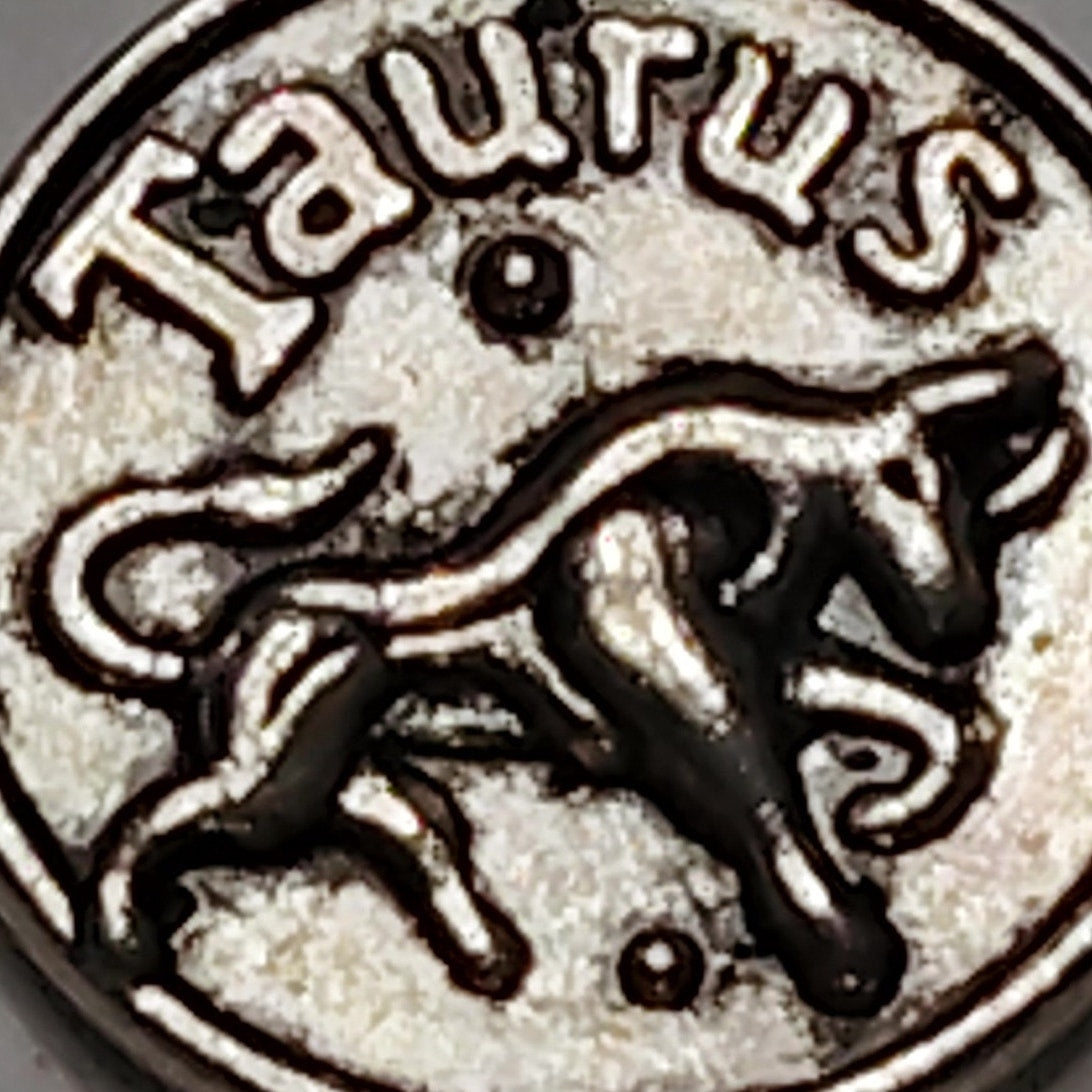 Taurus Zodiac Charm Patinated Silver‑Tone Bull Design 5/8" Medallion Pendant