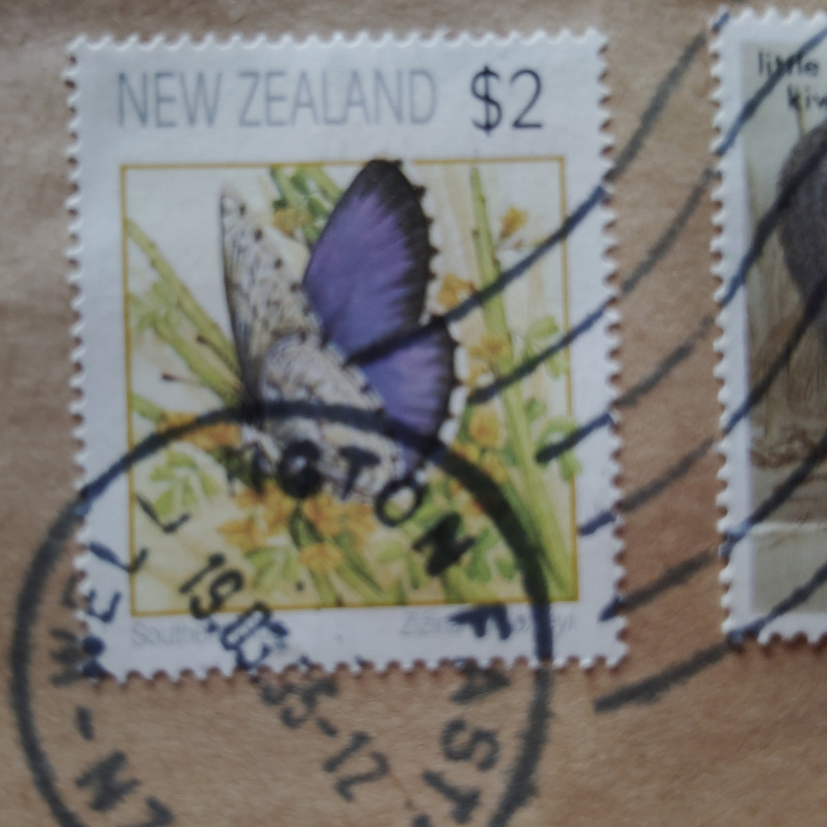 New Zealand 1995 Postal Cover $2 Butterfly & $10 Kiwi Stamps to USA