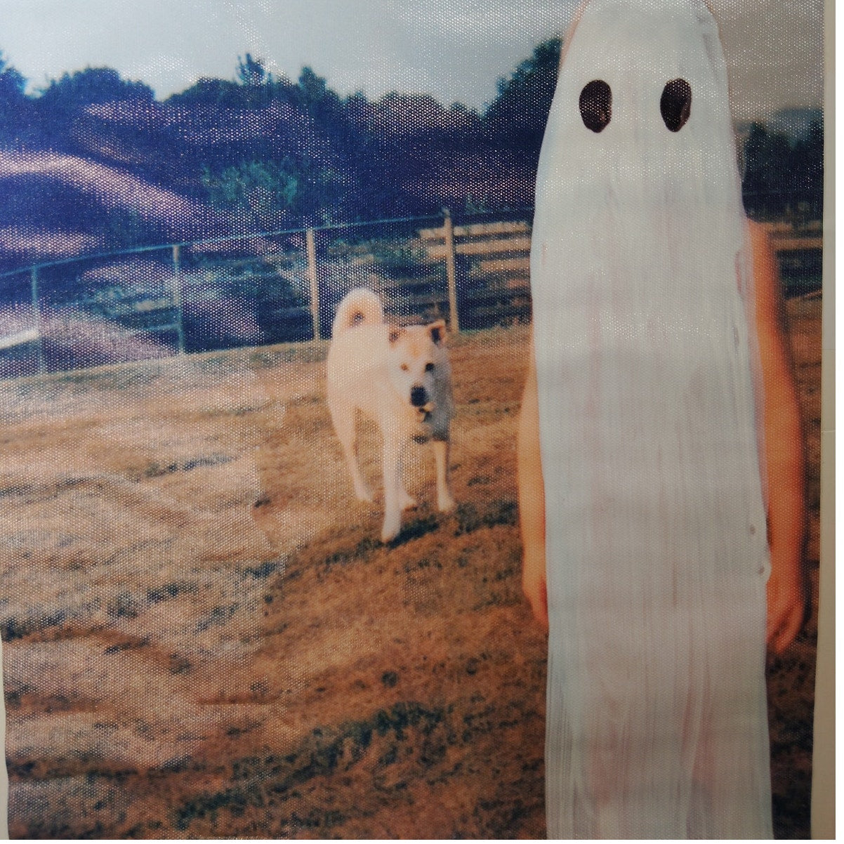 Phoebe Bridgers – Stranger in the Alps Canvas Print (12x18", Unframed Indie Album Art Print)