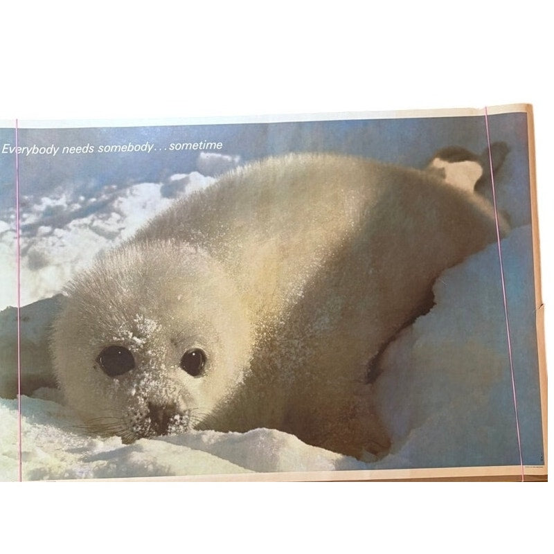 VTG 1970s Baby Seal "Everybody Needs Somebody...Sometime" 36" x 24" Poster
