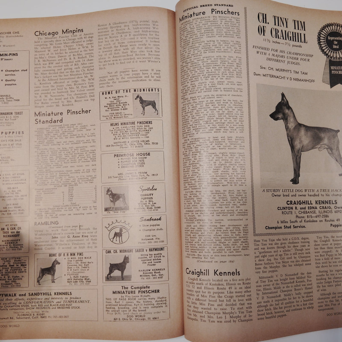 Dog World Magazine June 1966 Special Standards Issue 132 Breeds Lhasa Apso