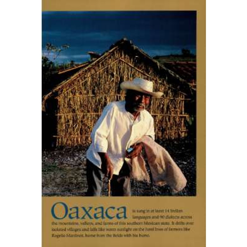 National Geographic November 1994 Buffalo Home on the Range, Ancient Greeks, Oaxaca, Madeira Future, Deep-Sea Vent, EUC