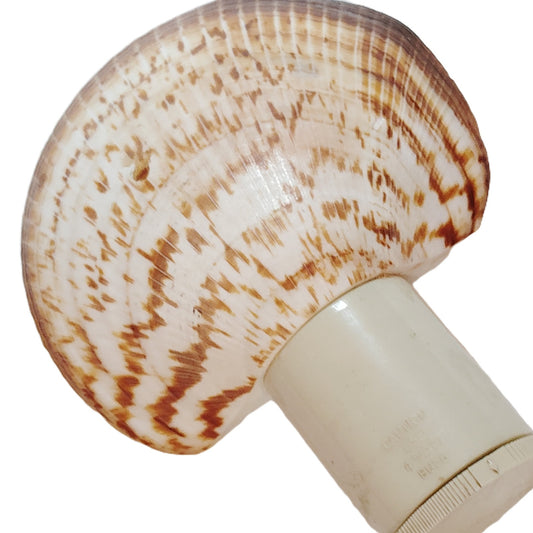 Vintage Brown Striped Seashell Night Light Plug In Beige Coastal Decor