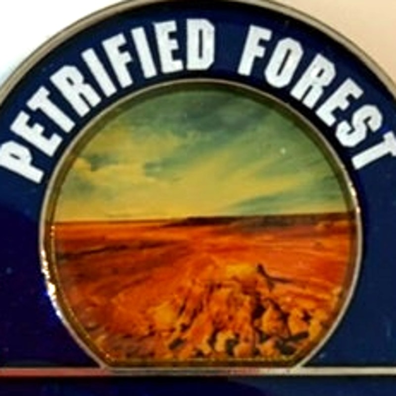 Petrified Forest National Park Metal Enamel Magnet Arizona Cloisonne 1.75x1.625